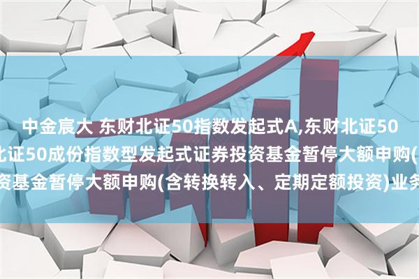 中金宸大 东财北证50指数发起式A,东财北证50指数发起式C: 西藏东财北证50成份指数型发起式证券投资基金暂停大额申购(含转换转入、定期定额投资)业务的公告