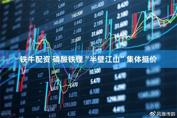 铁牛配资 磷酸铁锂“半壁江山”集体挺价