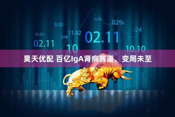 昊天优配 百亿IgA肾病赛道，变局未至